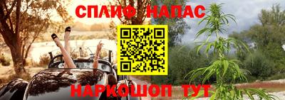 сатива Бузулук