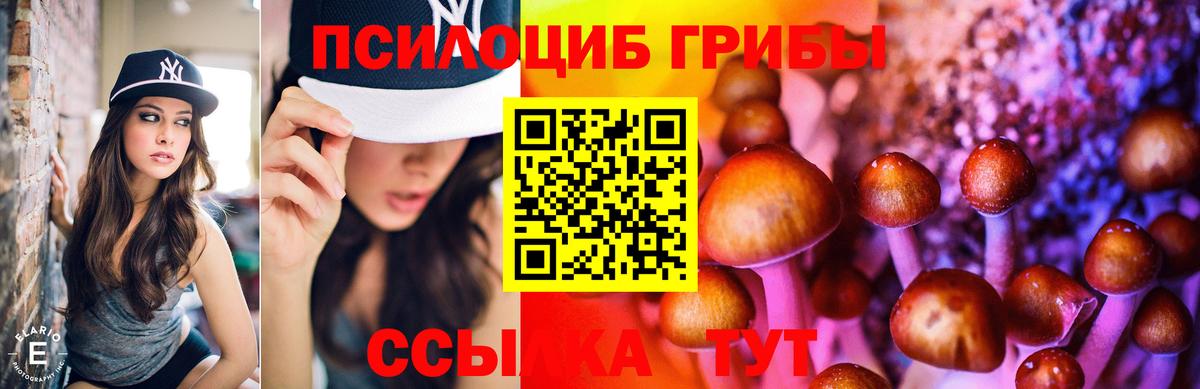Кореновск  Псилоцибиновые грибы ЛСД  Вход с VPN 